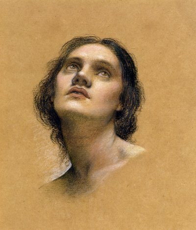 Study of a head by Evelyn De Morgan